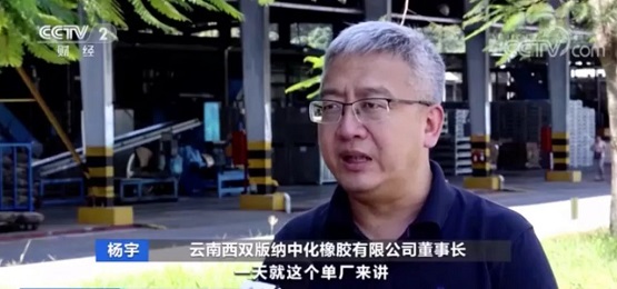 云南西雙版納中化橡膠有限公司董事長(zhǎng) 楊宇 云南西雙版納中化橡膠有限公司董事長(zhǎng) 楊宇
