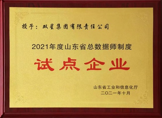 雙星輪胎進(jìn)入試點(diǎn)企業(yè)名單！