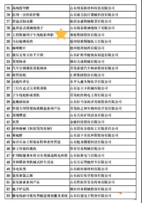賽輪集團(tuán)“工程機(jī)械用子午線輪胎外胎”榮獲山東省制造業(yè)單項(xiàng)冠軍