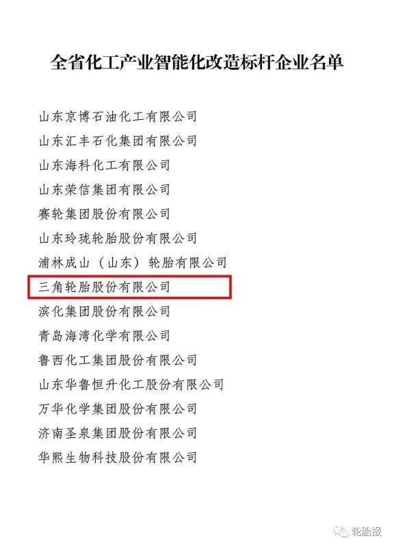 智能化標(biāo)桿企業(yè)——三角輪胎