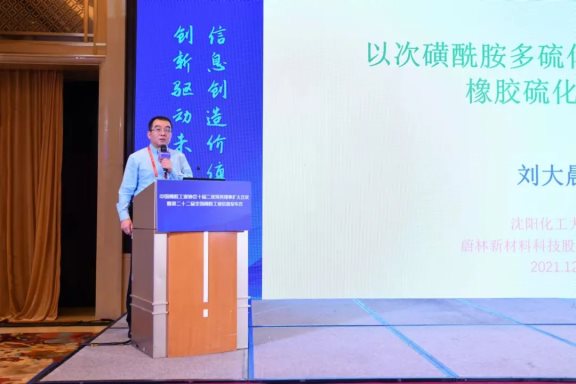沈陽化工大學(xué)材料科學(xué)與工程學(xué)院副院長(zhǎng)、蔚林新材料科技股份有限公司特聘專家劉大晨教授