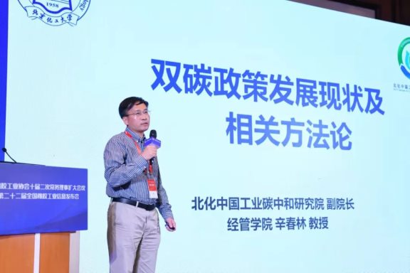 北京化工大學(xué)中國(guó)工業(yè)碳中和研究院副院長(zhǎng)辛春林教授