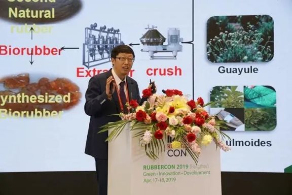 張立群老師在rubbercon國際會(huì)議上做大會(huì)報(bào)告 張立群老師在rubbercon國際會(huì)議上做大會(huì)報(bào)告