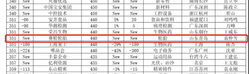 賽輪輪胎 賽輪輪胎