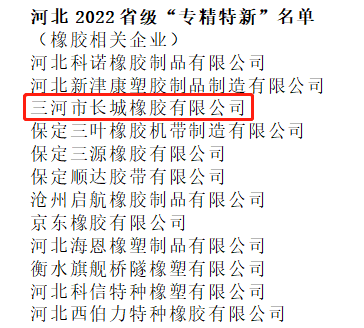 長城橡膠被認(rèn)定為2022年省級專精特新中小企業(yè)