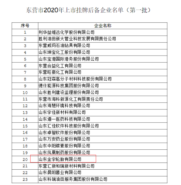 金宇輪胎上市工作，進(jìn)一步加快
