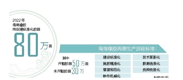 海南橡膠多舉措推進(jìn)標(biāo)準(zhǔn)化膠園建設(shè) 推動天然橡膠產(chǎn)業(yè)提質(zhì)增效 海南橡膠多舉措推進(jìn)標(biāo)準(zhǔn)化膠園建設(shè) 推動天然橡膠產(chǎn)業(yè)提質(zhì)增效