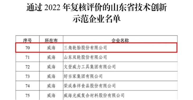 三角通過(guò)技術(shù)創(chuàng)新示范企業(yè)復(fù)評(píng)