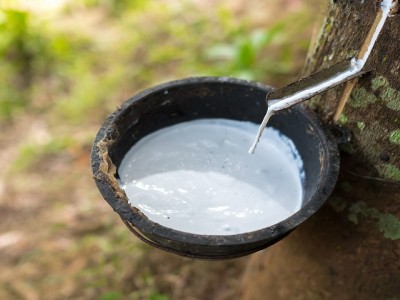 橡膠有哪些原材料？你不知道的橡膠知識