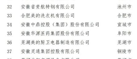 在合肥召開的第五屆2022世界制造業(yè)大會中國民營制造業(yè)合作交流對接會上，正式對外發(fā)布了2022安徽省民營企業(yè)制造業(yè)綜合百強。