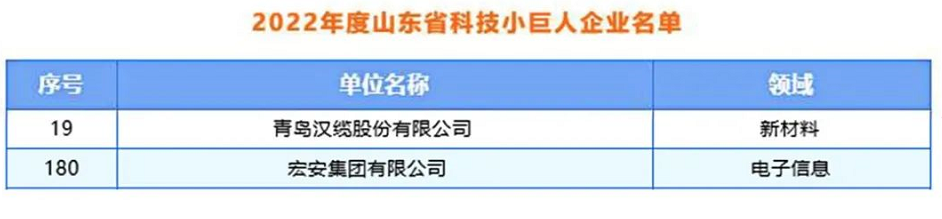 青島漢纜股份、宏安集團(tuán)入選2022年度山東省科技領(lǐng)軍企業(yè)名單