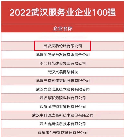 武漢天黎，連續(xù)五年入選政府榜單！