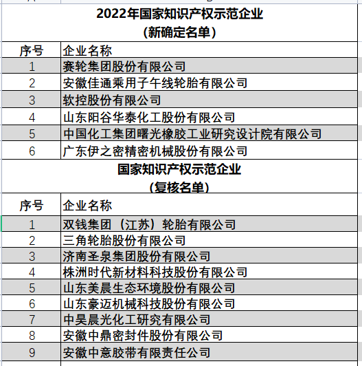 2022年國家知識(shí)產(chǎn)權(quán)優(yōu)勢(shì)企業(yè)（新確定名單）以及國家知識(shí)產(chǎn)權(quán)示范企業(yè)（復(fù)核名單）