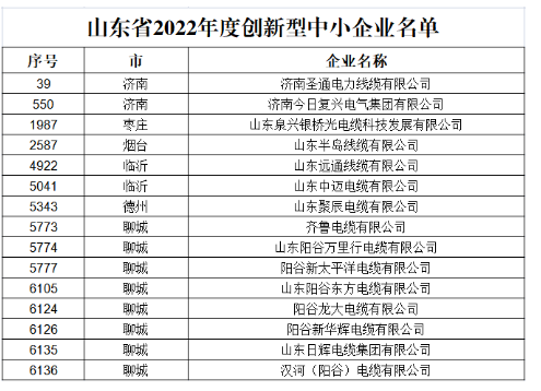 多家電線電纜企業(yè)被評為“山東省2022年度創(chuàng)新型中小企業(yè)” 多家電線電纜企業(yè)被評為“山東省2022年度創(chuàng)新型中小企業(yè)”