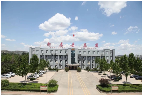新東岳集團(tuán) 新東岳集團(tuán)