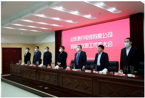 大會(huì)在雄壯的國(guó)歌聲中開幕。