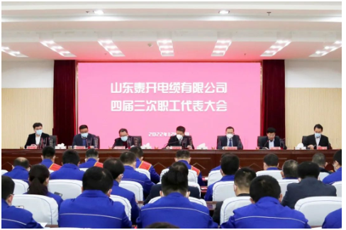 　泰開電纜董事長(zhǎng)盧俊良作重要講話。