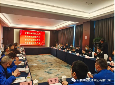 安徽微威膠件集團有限公司 安徽微威膠件集團有限公司