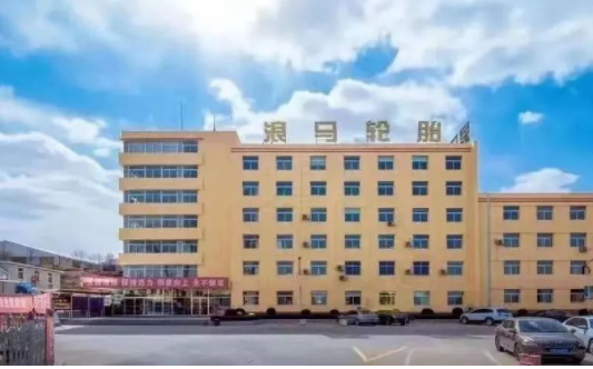朝陽浪馬輪胎全力搶工期，爭取項目建設(shè)早竣工、早投產(chǎn)