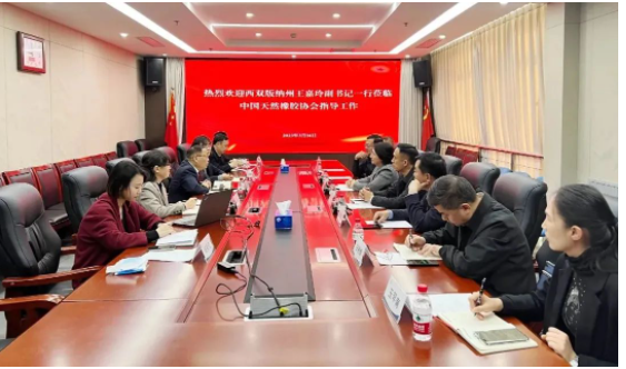 西雙版納州委副書記、州委統(tǒng)戰(zhàn)部部長王嘉玲率領(lǐng)相關(guān)單位領(lǐng)導(dǎo)一行赴中國天然橡膠協(xié)會進行訪談，