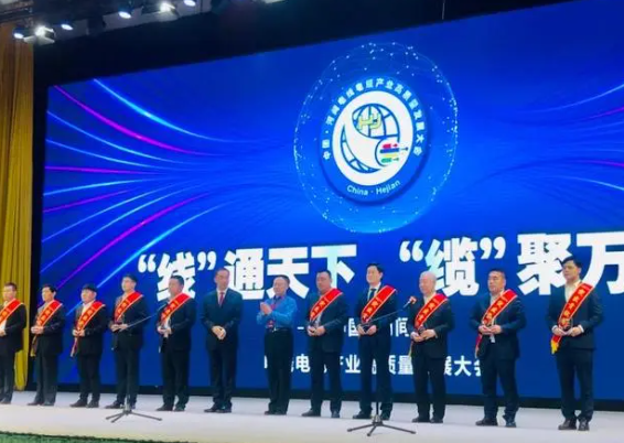 大會還頒發(fā)了“河間電線電纜產(chǎn)業(yè)突出貢獻(xiàn)獎”、“河間電線電纜產(chǎn)業(yè)銷售明星獎”，常豐線纜有限公司、華旗線纜有限公司、滄州會友線纜股份有限公司等10家企業(yè)獲得突出貢獻(xiàn)獎，竇義昌、宋福生、趙博娟等15人獲得銷售明星獎。此外，會上播放了“河間電線電纜產(chǎn)業(yè)專題片”，講述河間電線電纜發(fā)展史、產(chǎn)業(yè)總體情況、企業(yè)產(chǎn)品、未來發(fā)展等。