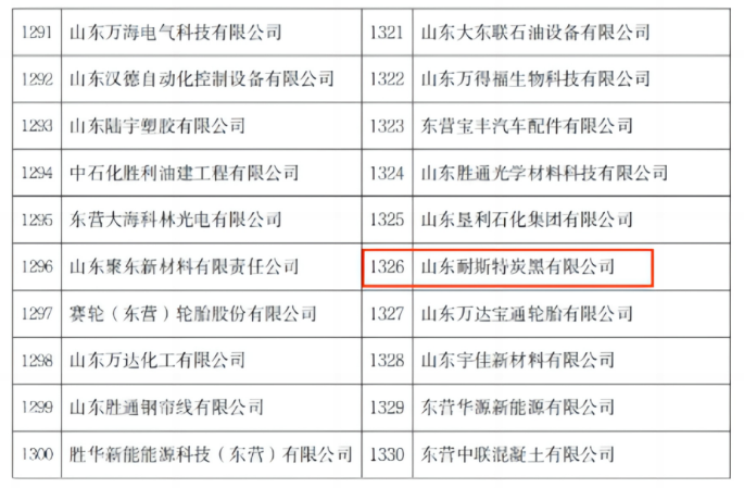 這一殊榮充分肯定了耐斯特公司在自主創(chuàng)新的研發(fā)實力和數(shù)字科技成果轉(zhuǎn)化能力方面所取得的成就。耐斯特炭黑公司長期以來一直高度重視數(shù)字化建設(shè)，致力于產(chǎn)品迭代服務(wù)和持續(xù)提升，通過自身的數(shù)字賦能行動在激烈的市場競爭中脫穎而出，展現(xiàn)出了不斷發(fā)展壯大的信心和決心。
