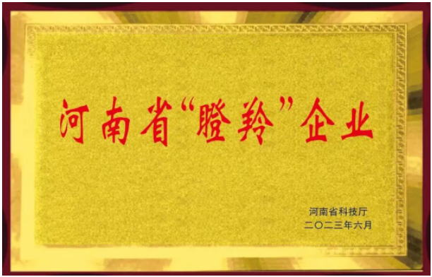 恒力橡塑股份有限公司的入選不僅證明了該公司在橡膠助劑領(lǐng)域的突出成就，同時也彰顯了河南省在科技創(chuàng)新和高新技術(shù)企業(yè)培育方面的努力。