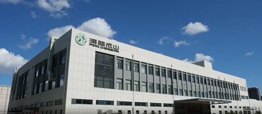 值得注意的是，這一項(xiàng)目的取得并非一蹴而就，而是基于浦林成山公司近年來(lái)在工業(yè)互聯(lián)網(wǎng)領(lǐng)域不斷積累的經(jīng)驗(yàn)。在“工廠智能化管理駕駛艙項(xiàng)目”中，公司通過(guò)全面收集和分析生產(chǎn)數(shù)據(jù)，實(shí)現(xiàn)了生產(chǎn)過(guò)程的實(shí)時(shí)預(yù)警和問(wèn)題追溯，確保了輪胎產(chǎn)品質(zhì)量的一致性。