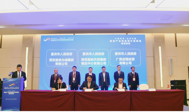 本次活動(dòng)的主題為“開放共享 合作共贏”，吸引了來(lái)自省內(nèi)外的數(shù)百位企業(yè)家共襄盛舉?；顒?dòng)中，代表們有機(jī)會(huì)展開充分的交流和深入的洽談，旨在達(dá)成更多合作共識(shí)，促進(jìn)全方位的合作，推動(dòng)云南天然橡膠的高質(zhì)量發(fā)展。會(huì)上舉行了項(xiàng)目簽約儀式，共有6個(gè)項(xiàng)目成功簽約，總投資額達(dá)到30億元。與會(huì)的各個(gè)州市代表在現(xiàn)場(chǎng)對(duì)這些項(xiàng)目進(jìn)行了詳細(xì)介紹，并進(jìn)行了項(xiàng)目交流。