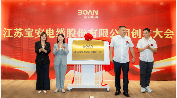 這一次股東大會的成功召開為江蘇寶安電纜股份有限公司的未來發(fā)展注入了新的活力，也為其在資本市場上的發(fā)展藍(lán)圖奠定了堅實(shí)基礎(chǔ)。