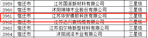 江蘇華安橡膠科技有限公司獲得了三星級上云企業(yè)的認可。該公司以其自主品牌“國新”、“國豪”、“華安”而聞名，目前正積極推進上市工作，為其在數字化領域的發(fā)展提供了更多的機會。