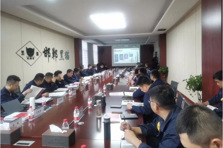 在交流培訓(xùn)會(huì)上，德固特詳細(xì)介紹了他們的高溫空氣預(yù)熱器、急冷鍋爐、余熱鍋爐、吹灰器、轉(zhuǎn)筒干燥機(jī)、造粒機(jī)等主要設(shè)備，并分享了撬裝式炭黑節(jié)能生產(chǎn)線、模塊化尾氣余熱回收系統(tǒng)、間接換熱干燥系統(tǒng)急節(jié)能型火箱等新技術(shù)。會(huì)后，德固特的負(fù)責(zé)人為參會(huì)者提供了各種設(shè)備的安裝、使用、維護(hù)和檢修要點(diǎn)，以便于各基地今后規(guī)范操作和設(shè)備的使用。