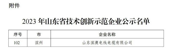 據(jù)悉，山東濱澳電線電纜有限公司先后獲得國家級高新技術(shù)企業(yè)、山東省企業(yè)技術(shù)中心、省級專精特新中小企業(yè)、濱州市科技型中小企業(yè)等多項榮譽，并擁有十余項專利成果。公司目前擁有超過120名員工，其中有20余名從事研發(fā)技術(shù)工作。其全國工業(yè)產(chǎn)品生產(chǎn)許可證證書以及強大的技術(shù)創(chuàng)新能力、健全的質(zhì)量保障體系和科學(xué)的管理模式為企業(yè)不斷壯大提供了持續(xù)動力。