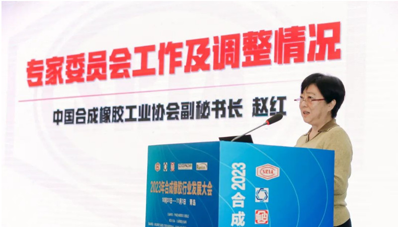 中國合成橡膠工業(yè)協(xié)會(huì)秘書長(zhǎng)趙紅詳細(xì)介紹了專家委員會(huì)的工作情況和新一屆專家委員會(huì)的組成。會(huì)長(zhǎng)梁愛民為專家委員會(huì)主任委員張立群院士頒發(fā)了聘書，標(biāo)志著專家委員會(huì)的正式成立。