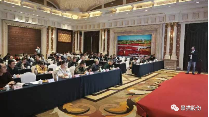各參會(huì)嘉賓齊聚一堂，會(huì)場(chǎng)氣氛熱烈，會(huì)談內(nèi)容豐富。通過(guò)本次推介會(huì)，黑貓股份與參會(huì)企業(yè)之間的距離得以拉近，工作思路也得以拓寬，為公司未來(lái)的高質(zhì)量蓬勃發(fā)展奠定了堅(jiān)實(shí)基礎(chǔ)。