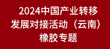 2024中國產(chǎn)業(yè)轉(zhuǎn)移發(fā)展對(duì)接活動(dòng)（云南）橡膠專題