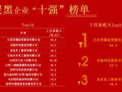 2024年十強炭黑企業(yè)，公布！