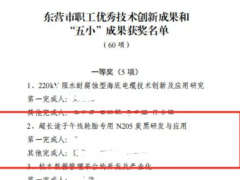 耐斯特超長(zhǎng)途子午線輪胎專用N205炭黑項(xiàng)目榮獲桂冠