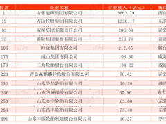 2024山東500強(qiáng)，輪胎企業(yè)大放異彩！